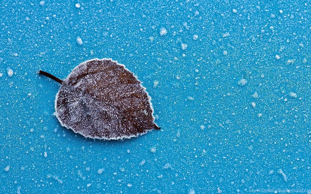 Frozen HD Wallpapers