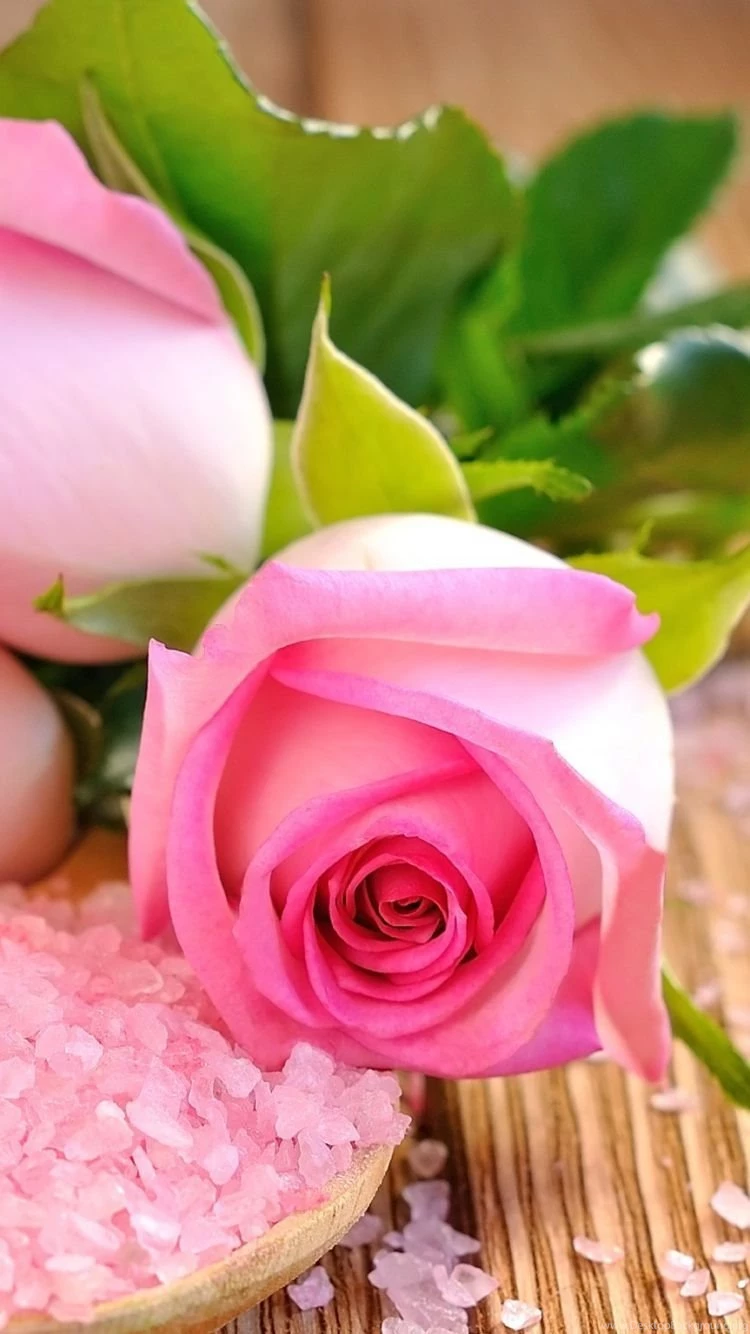 Download Wallpapers 750x1334 Rose, Salt, Candles, Blurring iPhone 6 ...