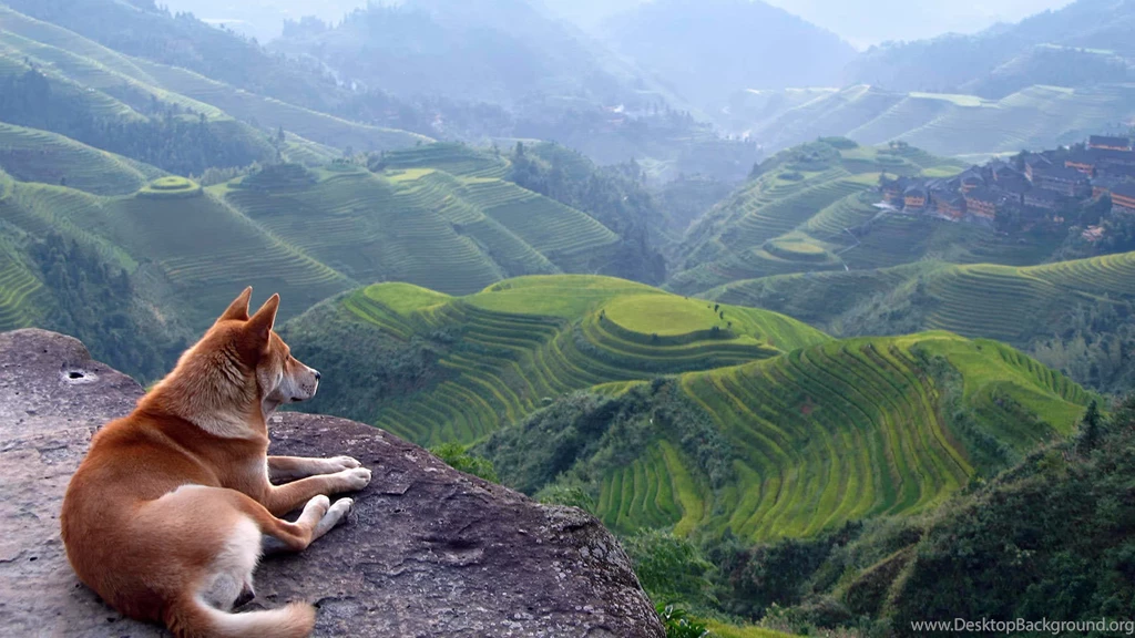 Landscape Wallpapers 1920X1080 105000