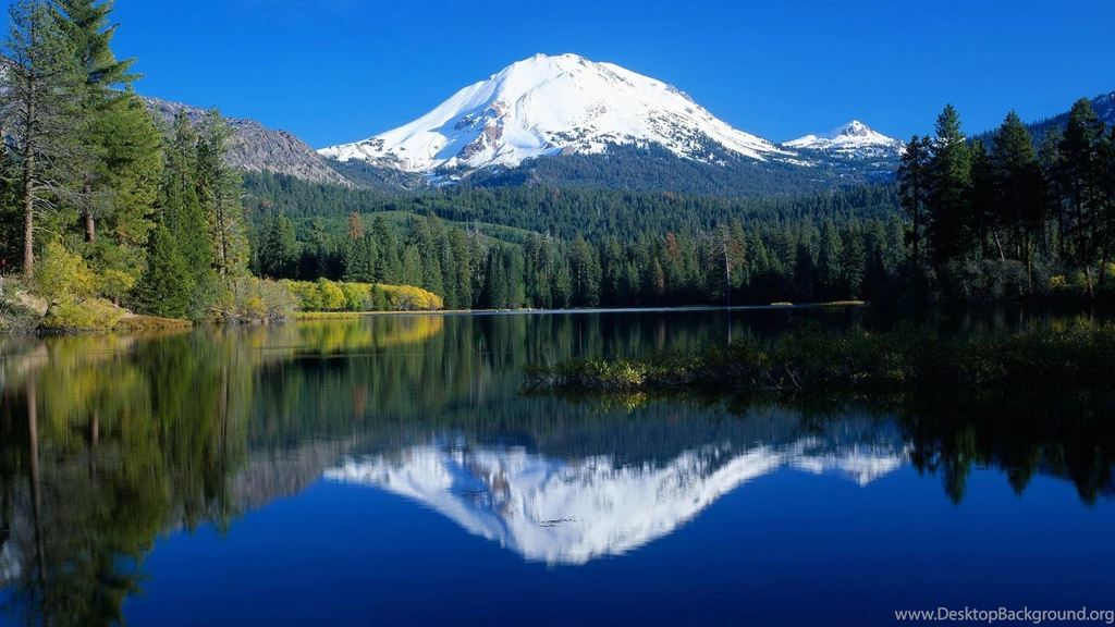 Download Never Give Up On Your Dreams Wallpapers Full HD