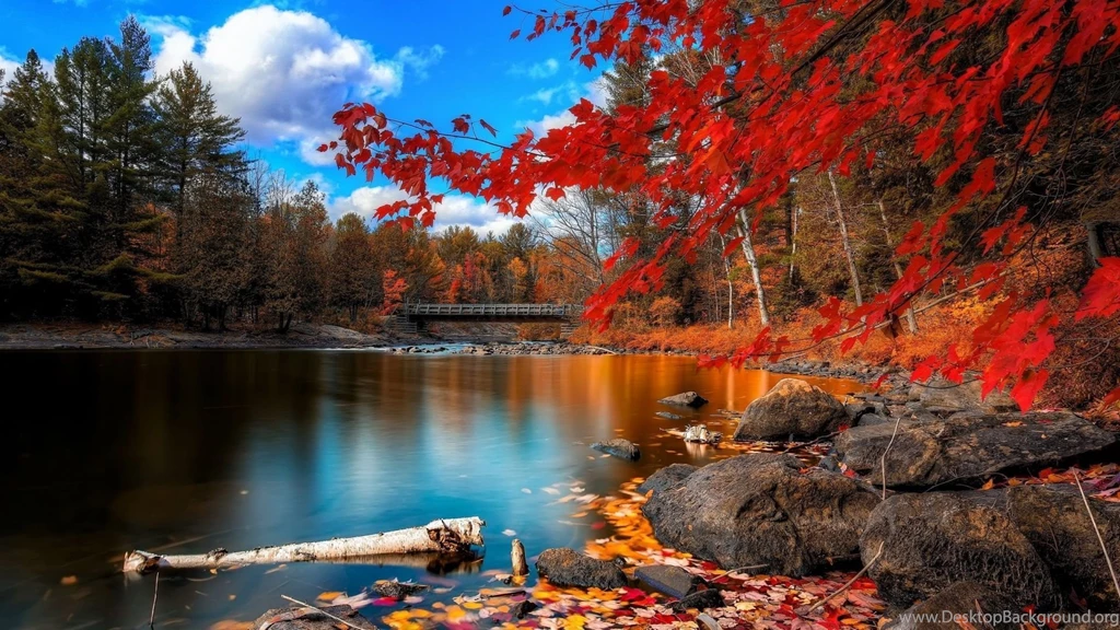 Autumn Wallpapers High Resolution