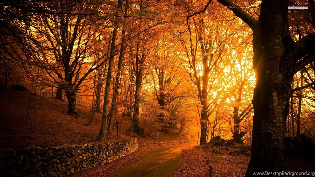 Amazing Golden Autumn Wallpapers