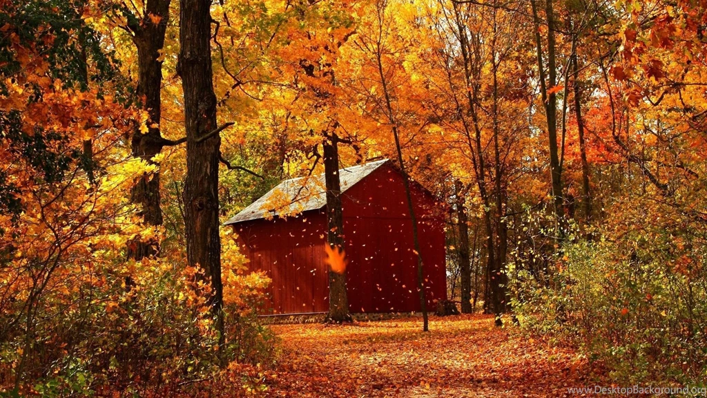 Download Wallpapers 1920x1080 Leaf Fall, Autumn, Garage, Wood ...