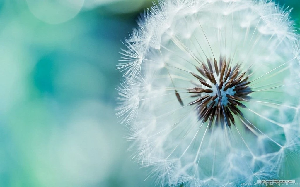 Free Wallpapers Free Nature Wallpapers Apple Scenery 2 Wallpapers ...