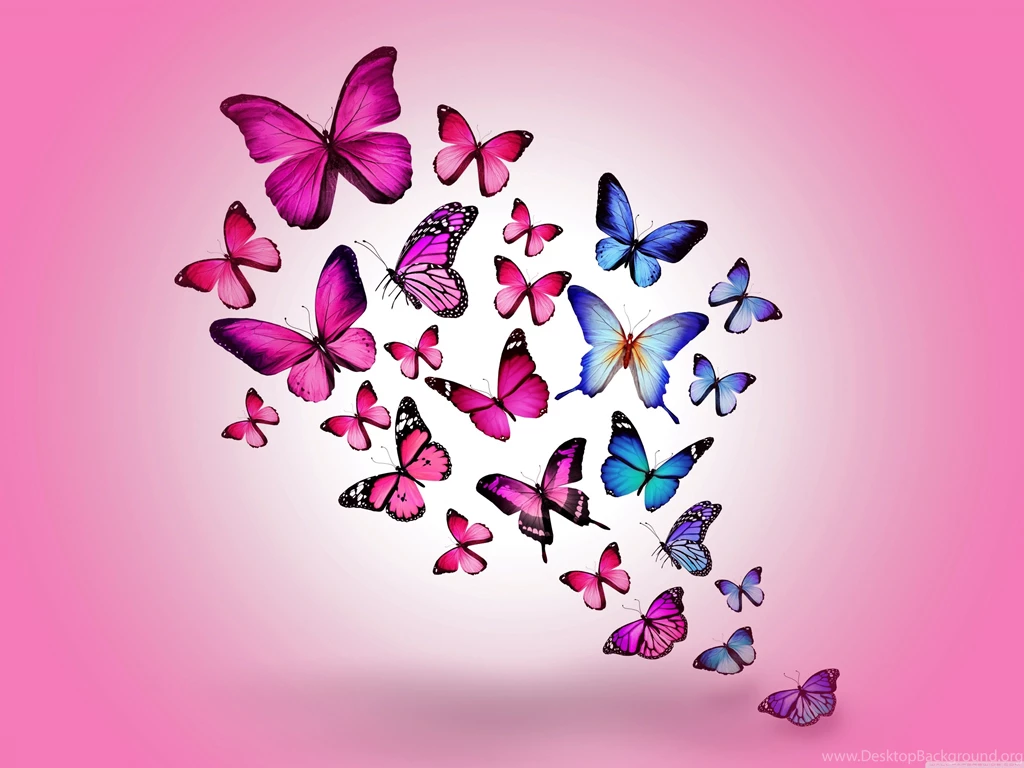 Butterflies Wallpapers Full HD [4096x3072]   Free Wallpapers Full Hd ...