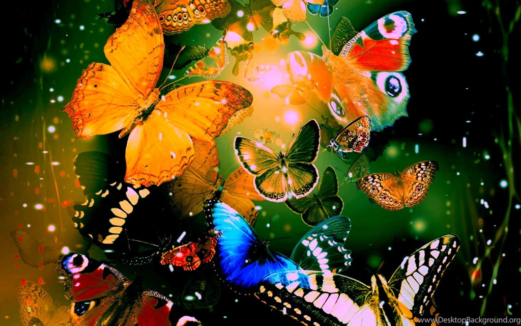 Butterflies Wallpapers HD Download