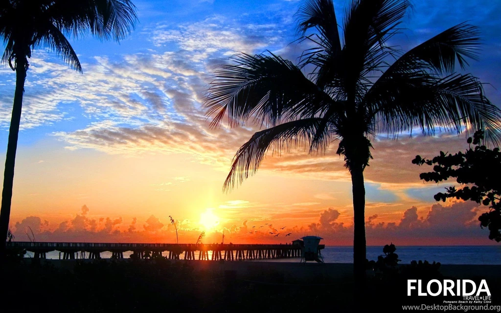 Florida Wallpapers » WallDevil   Best Free HD Desktop And Mobile ...