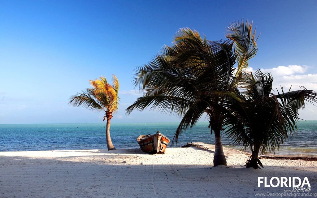 Free Florida Wallpapers