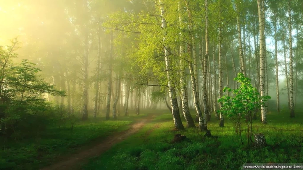 Spring Nature Wallpapers Crazy Frankenstein