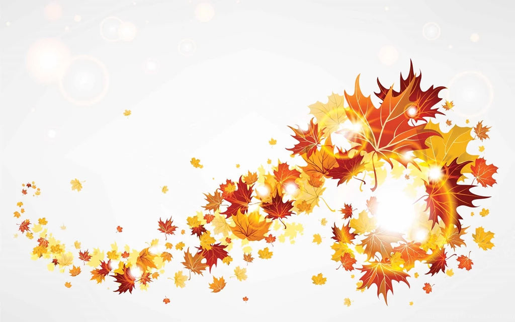 5627_Autumn leaves in an abstract setting.jpg