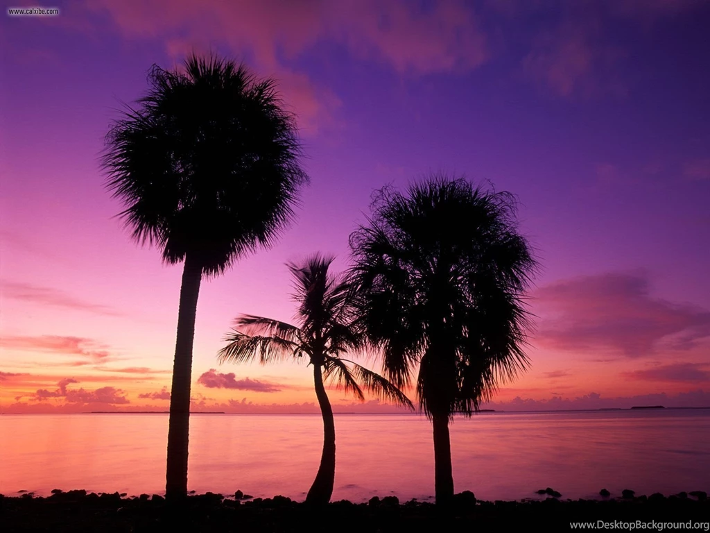 Nature: Florida Bay Sunrise Everglades National Park Florida ...