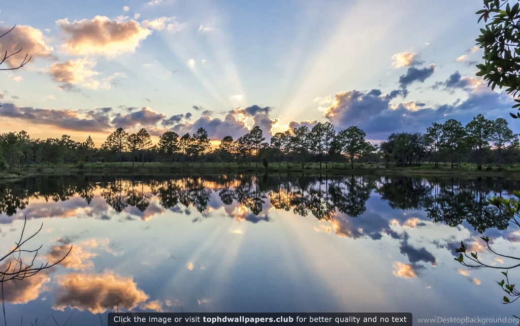 Best Florida Wallpapers For Your PC, Mac Or Mobile Device