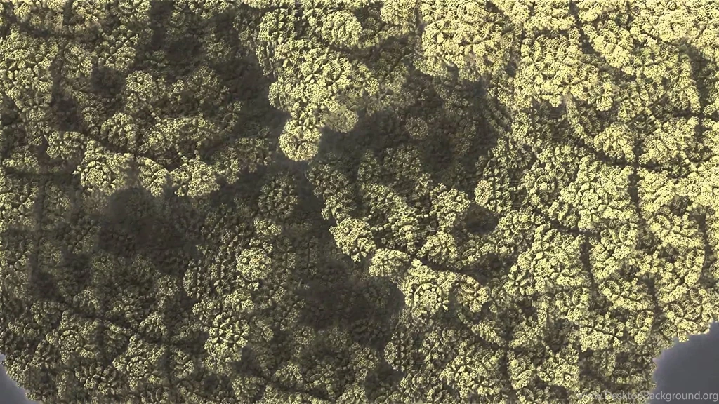 High Definition Fractal 1080p YouTube