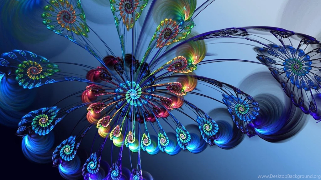 Fractal 6 Intl. Starseed Network