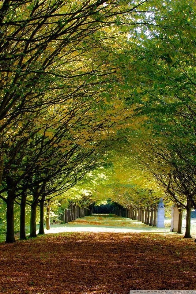 Autumn, Anglesey Abbey, Cambridgeshire, England HD Desktop ...