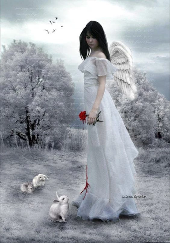 Angel 13