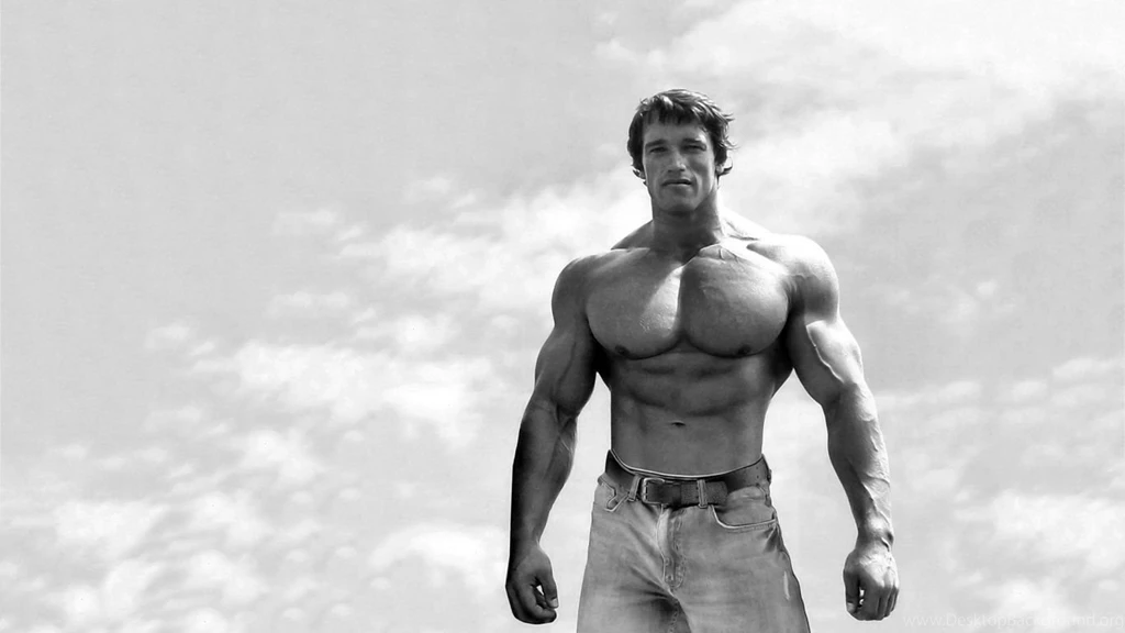 99 Arnold Schwarzenegger HD Wallpapers