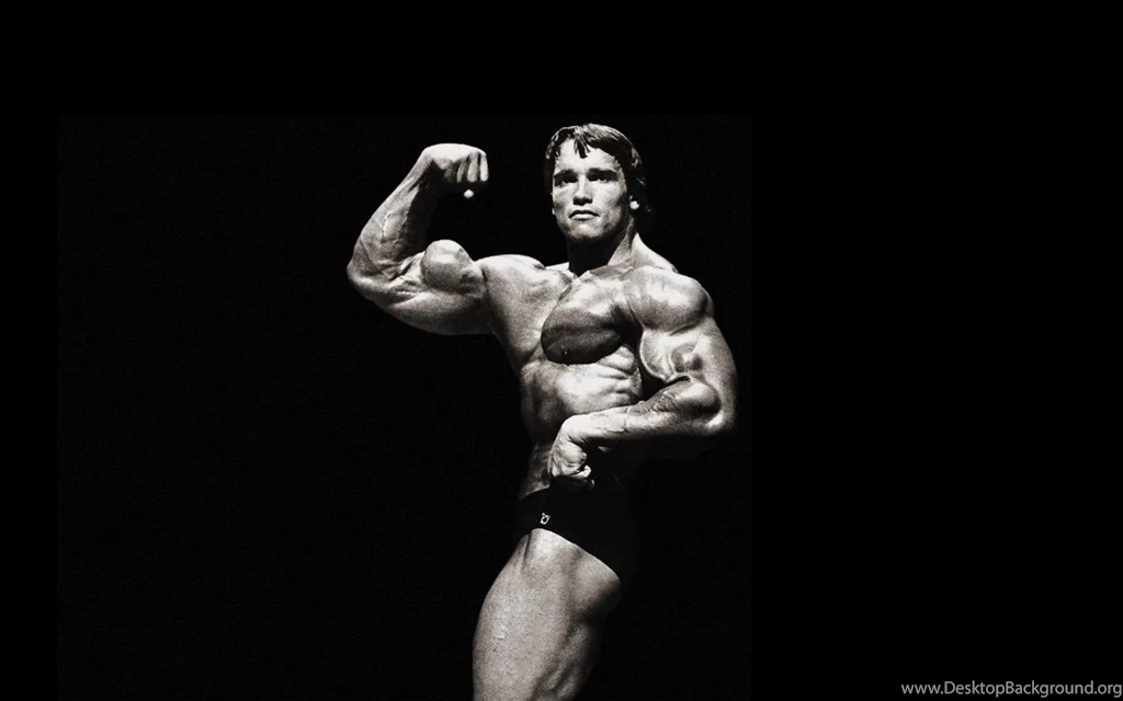 Fonds D'écran Arnold Schwarzenegger : Tous Les Wallpapers Arnold ...