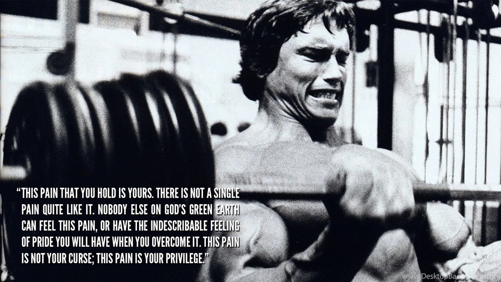 Arnold Schwarzenegger HD Wallpapers And Backgrounds