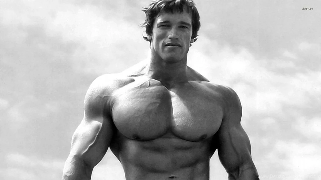 Arnold Schwarzenegger Wallpapers Male Celebrity Wallpapers