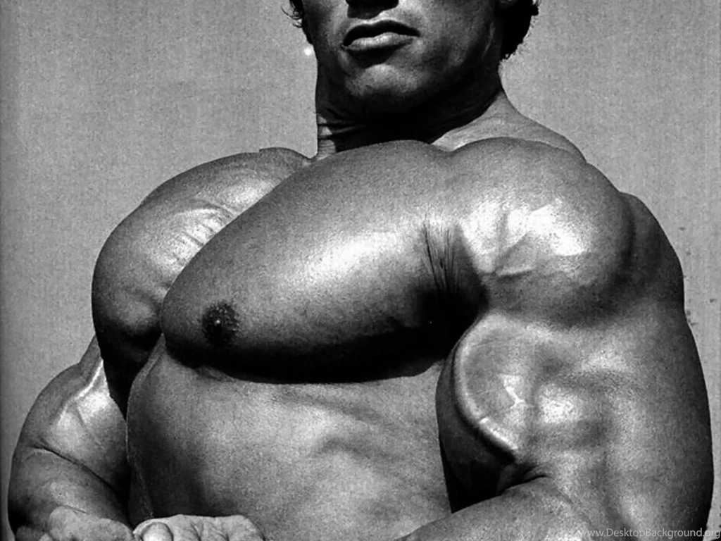 HD Best Desktop Wallpapers: Arnold Schwarzenegger Wallpapers