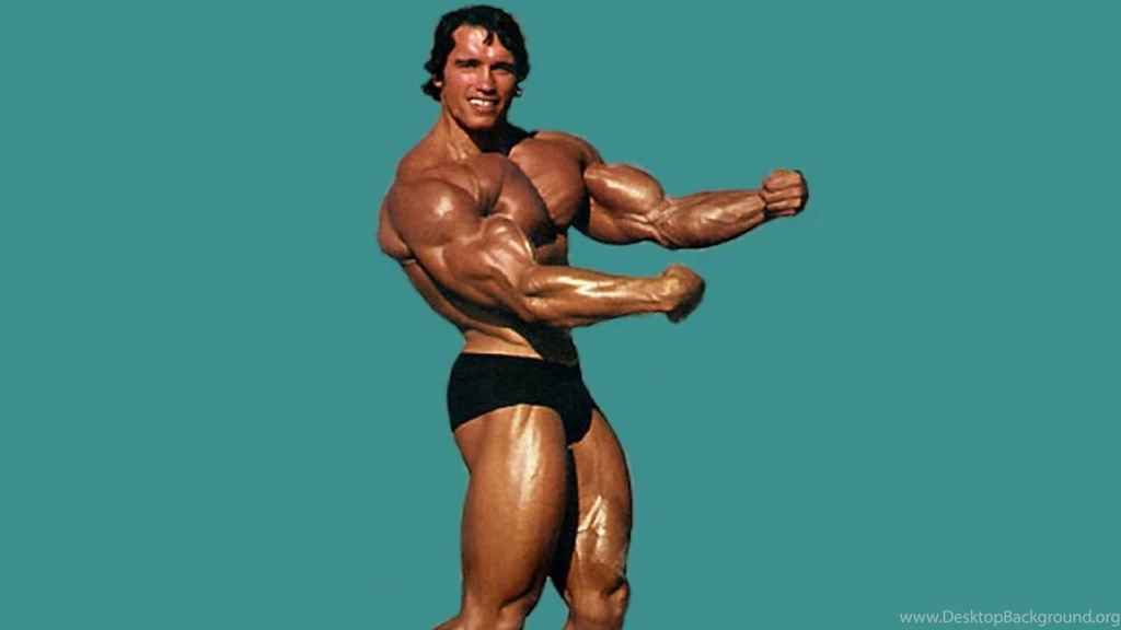 Kane Blog Picz: Arnold Schwarzenegger Wallpapers 1280