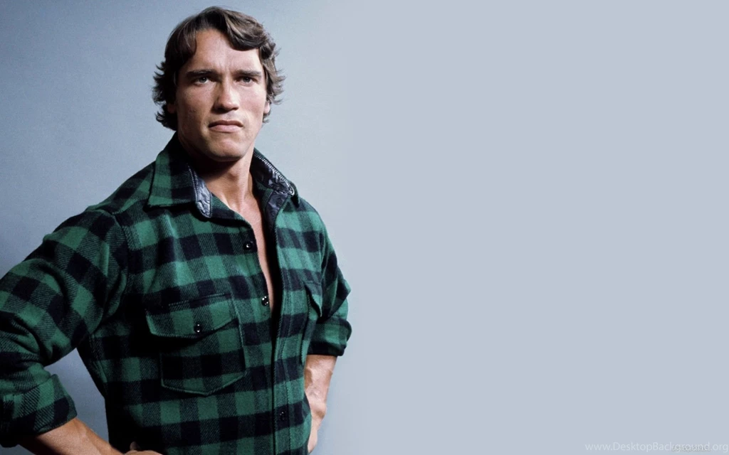 Arnold Computer Wallpapers, Desktop Backgrounds