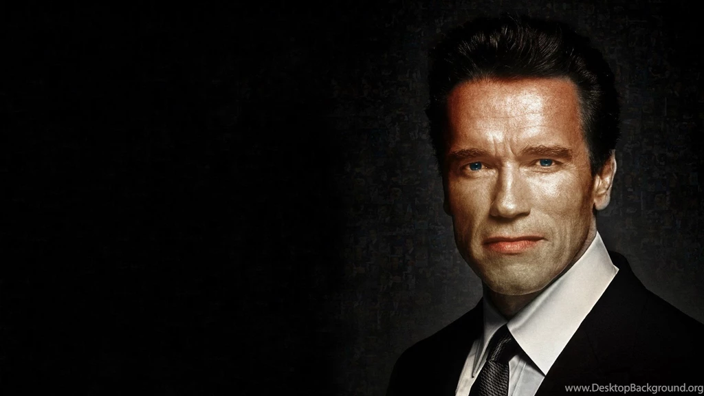 The Embodiment Of The American Dream, Arnold Schwarzenegger ...