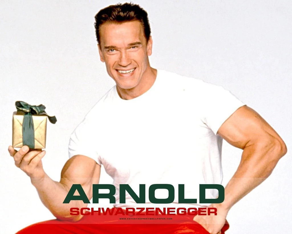 Arnold Schwarzenegger Wallpapers