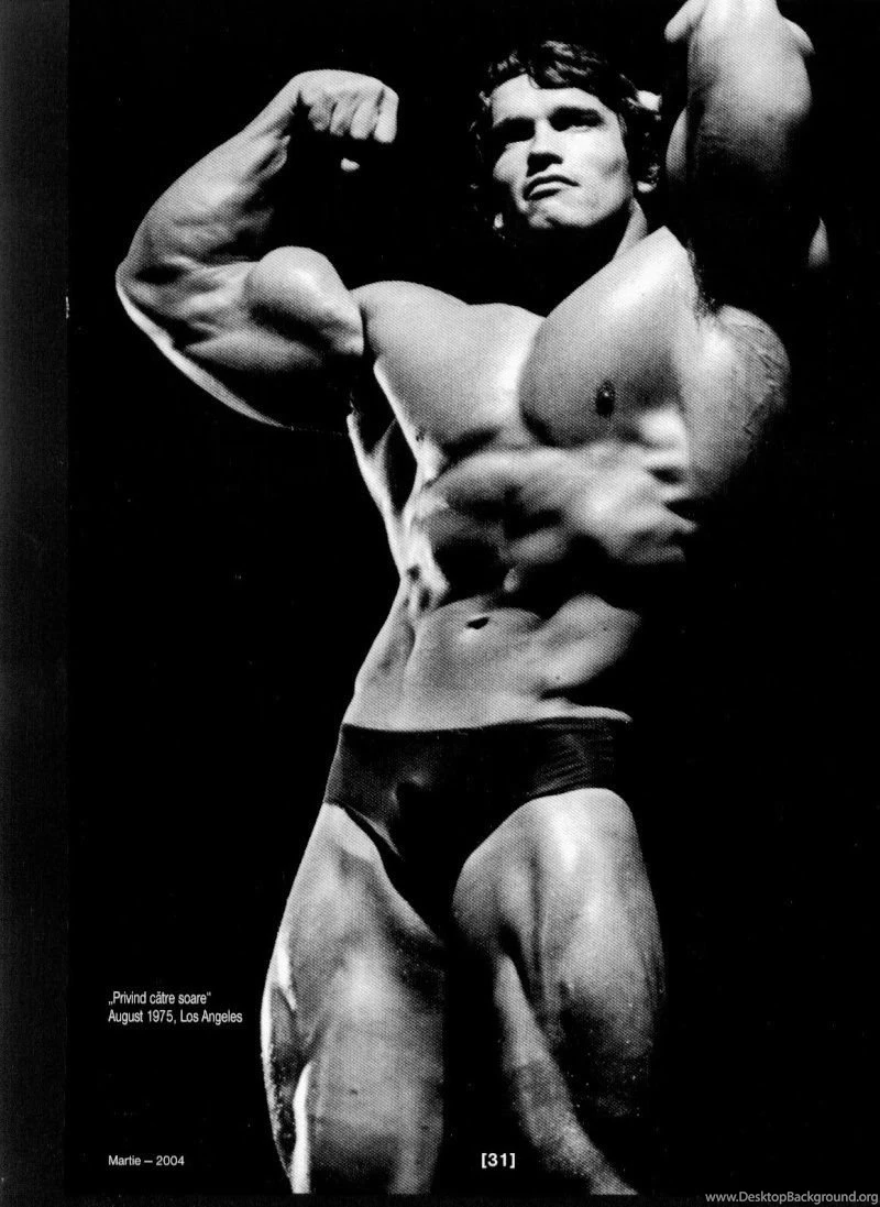 Arnold schwarzenegger wallpaper hd bodybuilding 62ab3ce23f9884db423ce886eb945289 large 27901.jpg