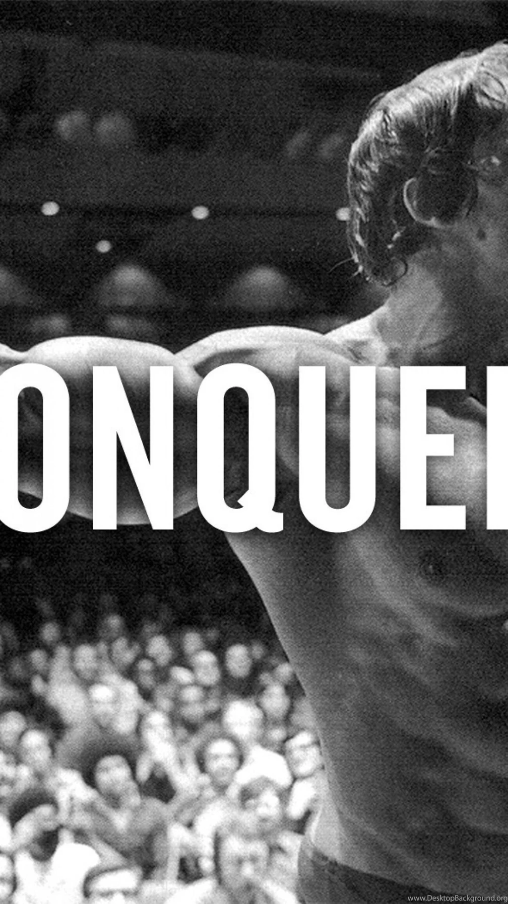 Arnold Schwarzenegger Conquer S4 Wallpapers
