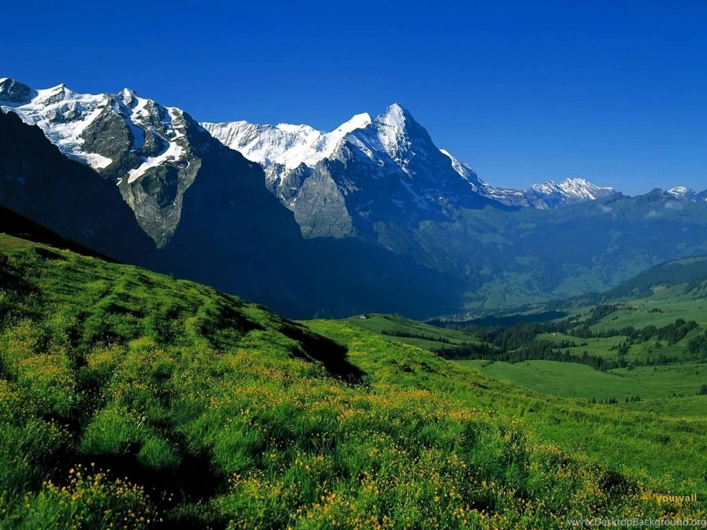 Amazing Relaxing Green Nature Laptop Backgrounds