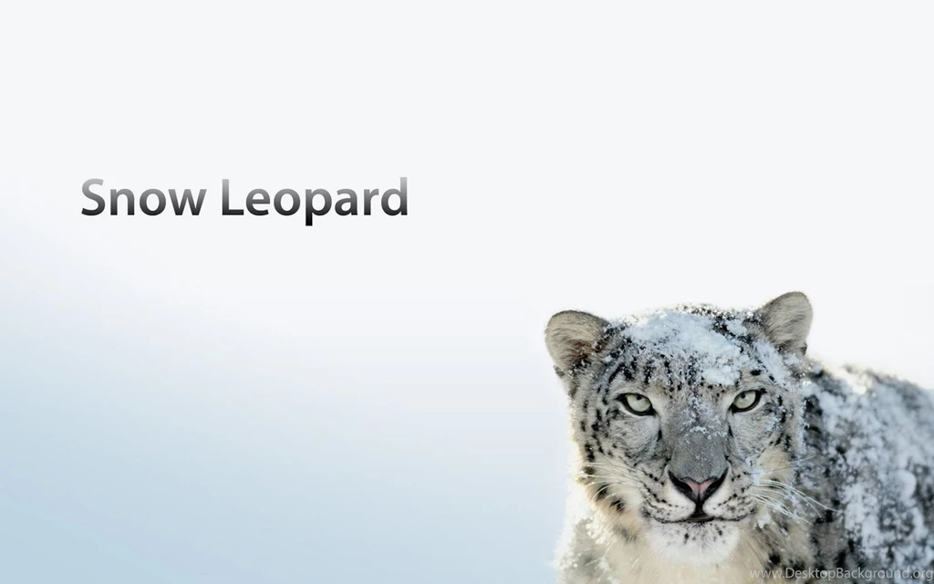 Apple Desktop Wallpapers