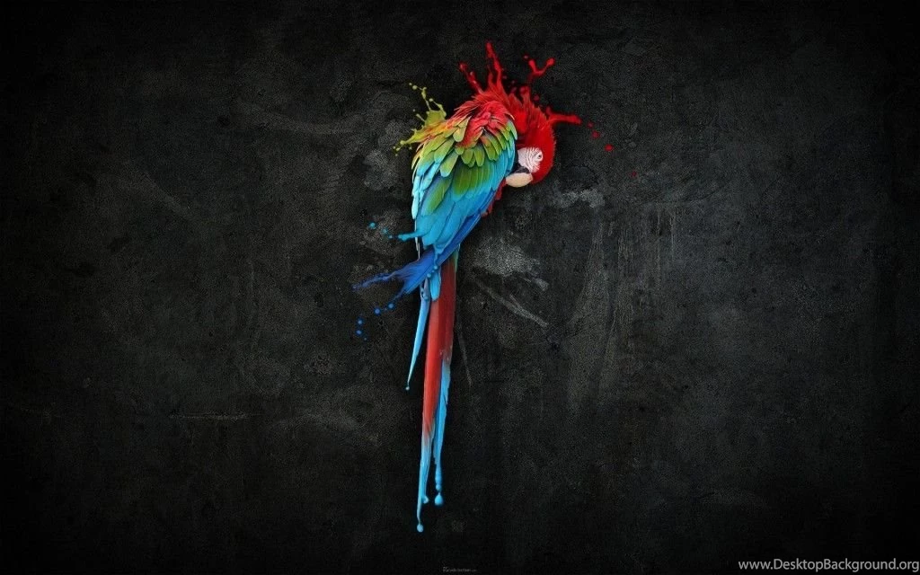 40+ Beautiful Parrot HD Wallpapers That You Will Surely Love ...