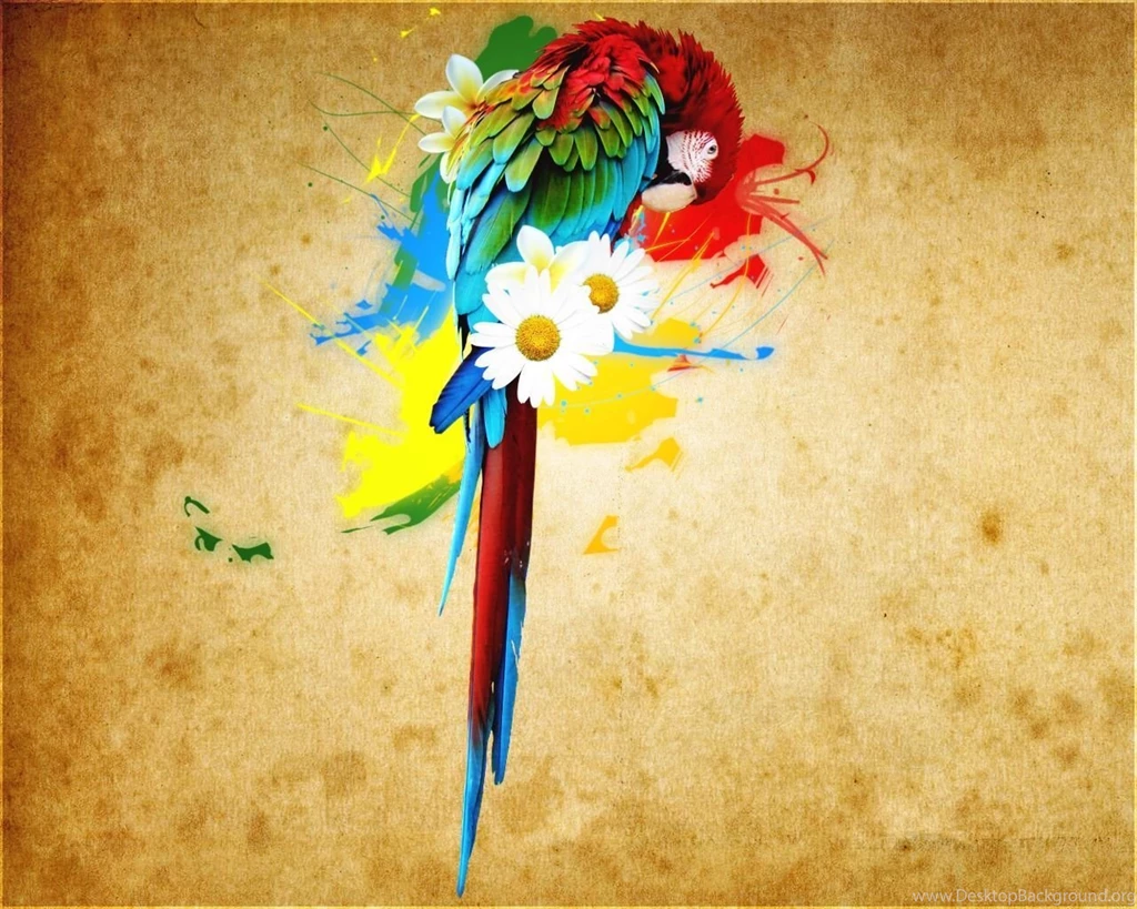 Parrot Wallpapers Pets Cute And Docile