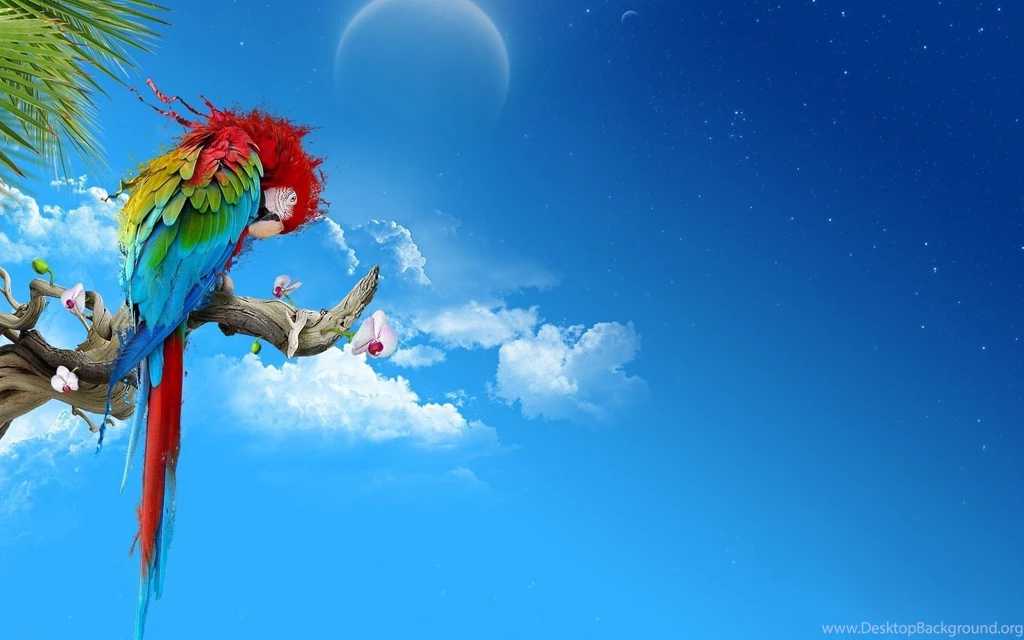 Desktop hd latest parrot wallpaper.jpg