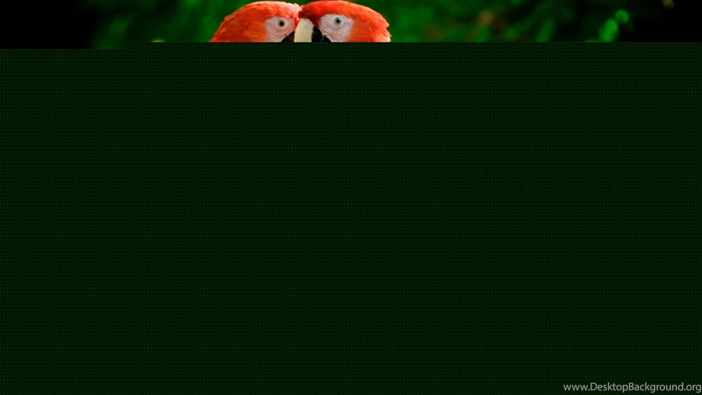 Parrot Wallpapers HD