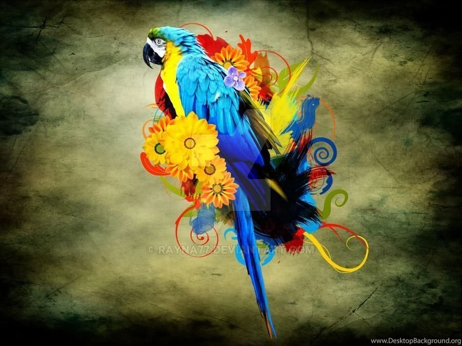 Parrot Wallpapers By Rayna77 On DeviantArt