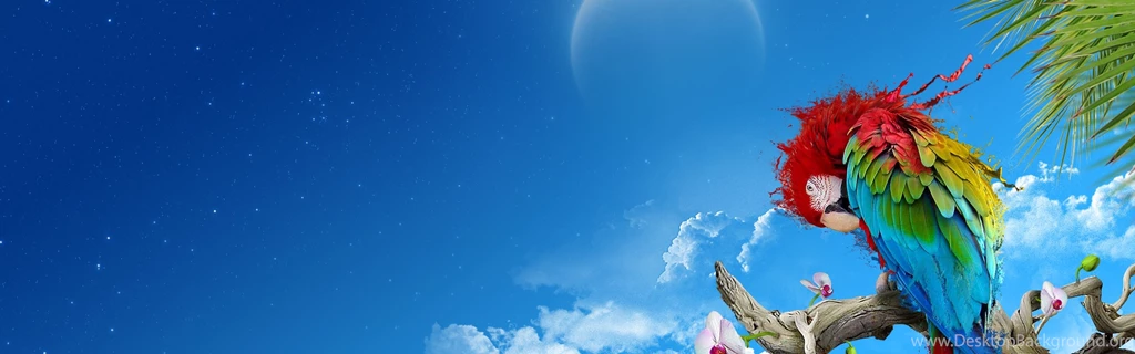 Download Wallpapers 3840x1200 Parrot, Colorful, Feathers, Thread ...