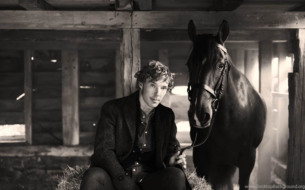 37 Benedict Cumberbatch HD Wallpapers