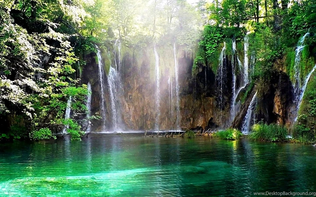 Free Summer Screensavers And Wallpaper: Nature By Free Download ...