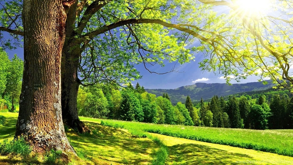 Spring Computer Wallpapers, Desktop Backgrounds
