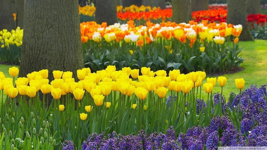 Download Spring In Spain Wallpapers 1920x1080