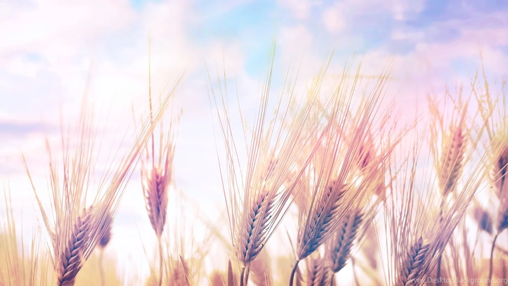 Spring Wallpapers HD Wallpapers