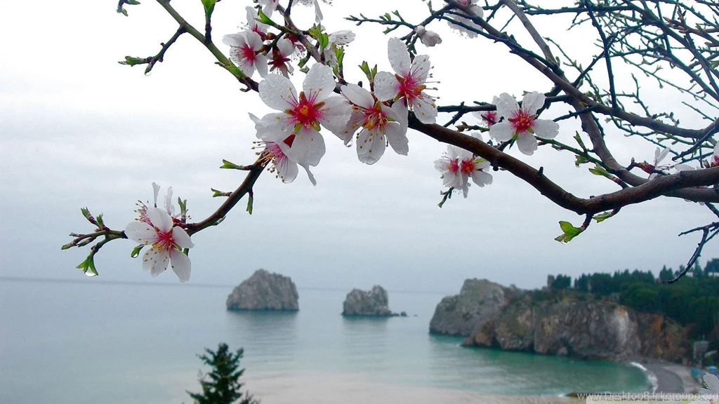 Spring Season, High, Resolution, 1920x1080 HD Wallpapers And FREE ...