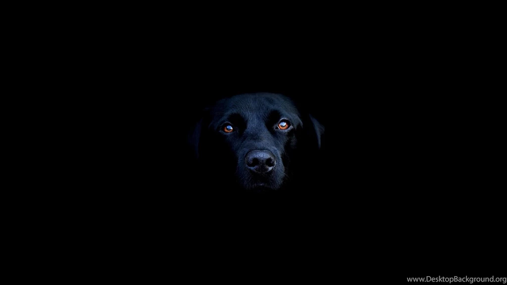 Black Dog Mac Wallpapers Download