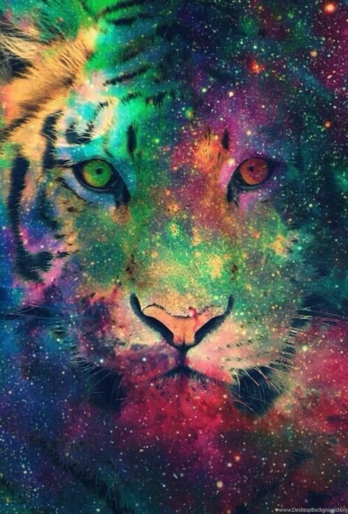 Tiger Galaxy Wallpapers