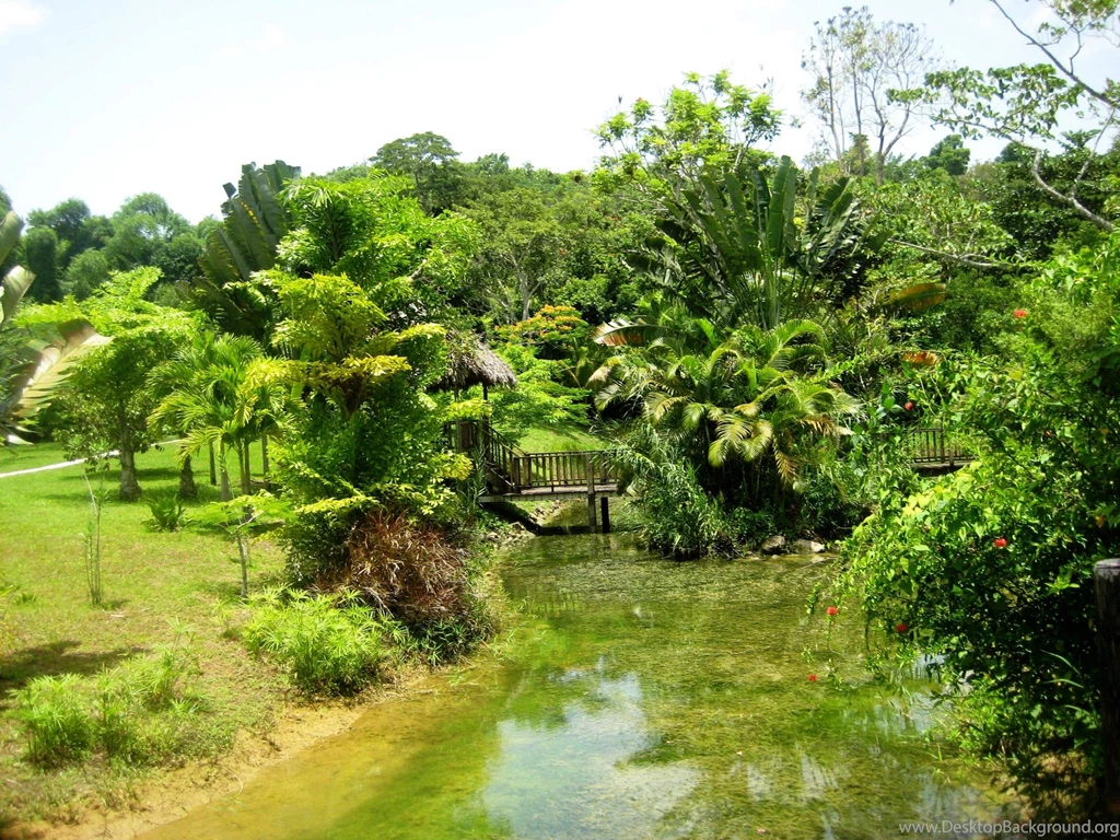 Jamaica Wallpapers >> Backgrounds With Quality HD
