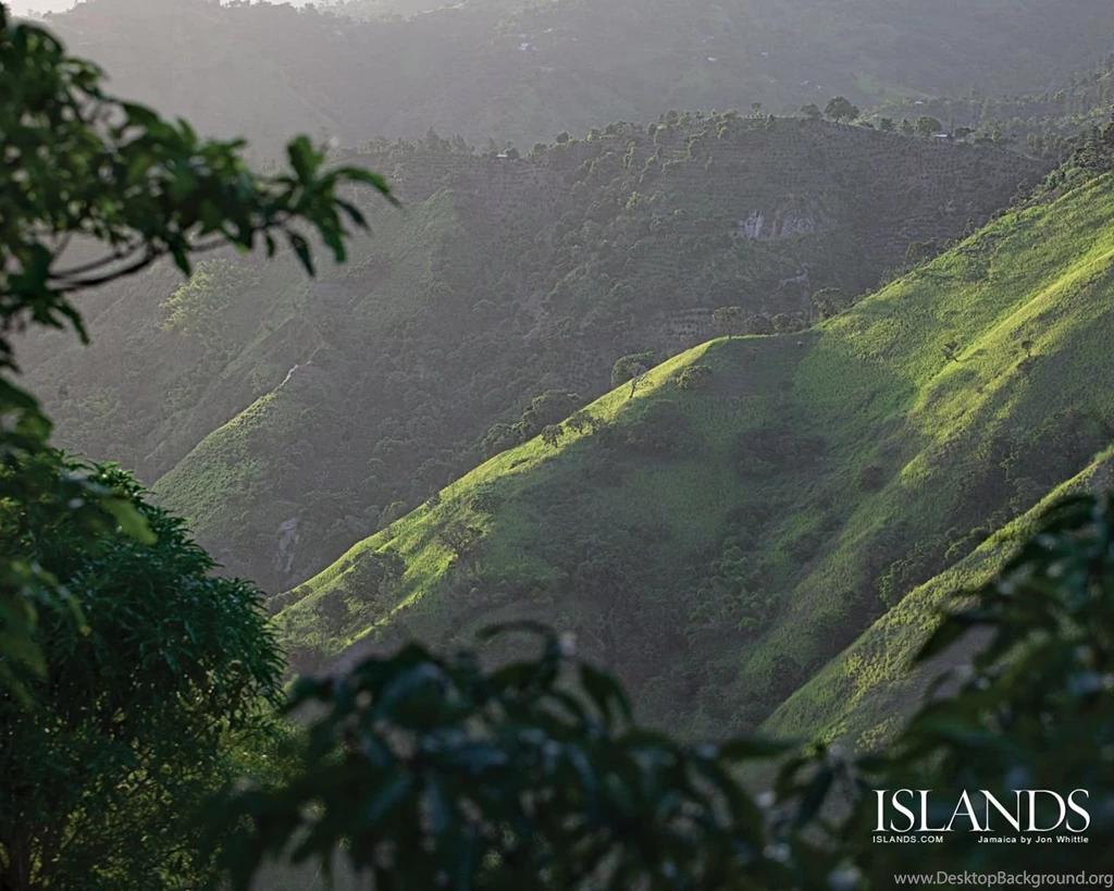 Jamaican Flag Wallpapers   202837