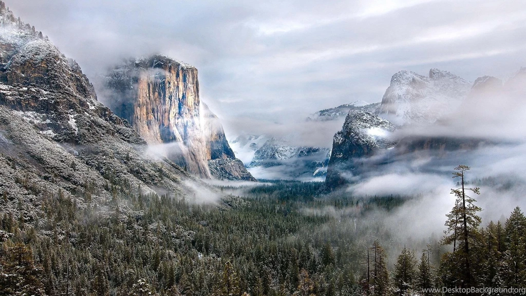Download Wallpapers 2560x1440 Mountains, Fog, Clouds, Fir trees ...